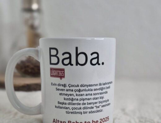 IT-Sicherheitsaudit & Schwachstellenanalyse